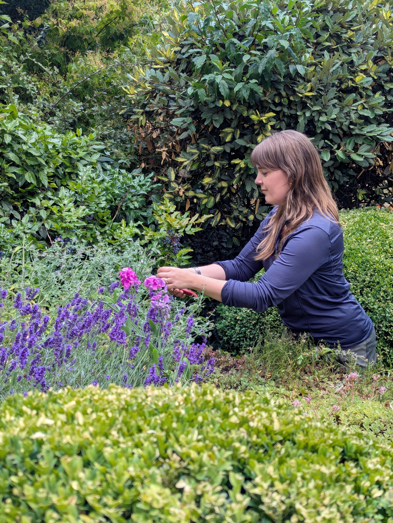 Garden Care